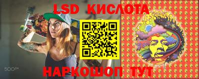 трава Камышлов