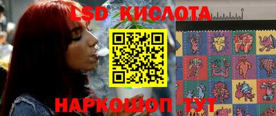 молекула духа Кандалакша