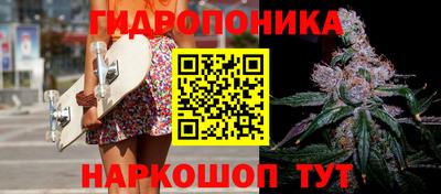 трава Камышлов