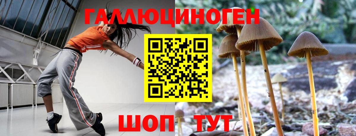 сколько стоит  Вход с VPN  Краснодар  Псилоцибиновые грибы ЛСД 